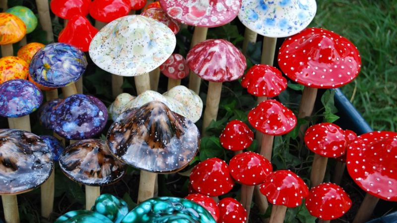 psychedelics